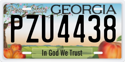 GA license plate PZU4438