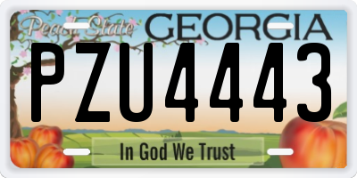 GA license plate PZU4443