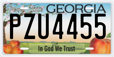 GA license plate PZU4455