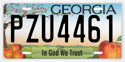 GA license plate PZU4461