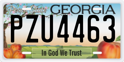 GA license plate PZU4463