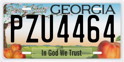 GA license plate PZU4464