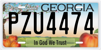 GA license plate PZU4474