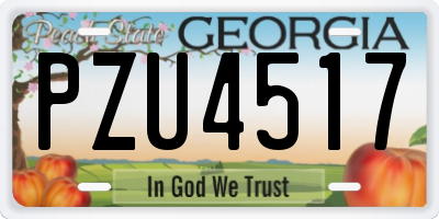 GA license plate PZU4517