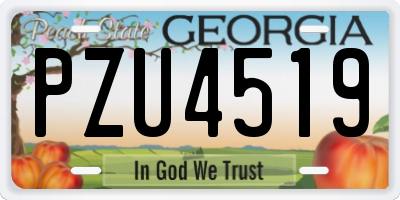 GA license plate PZU4519