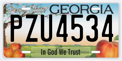 GA license plate PZU4534