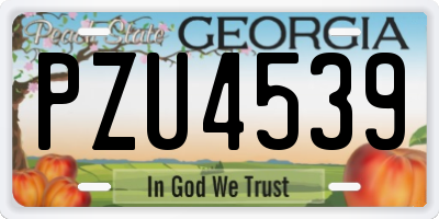 GA license plate PZU4539