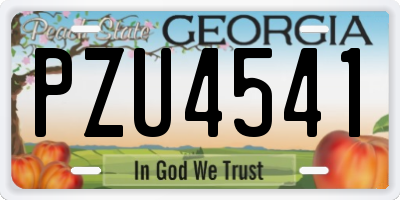 GA license plate PZU4541