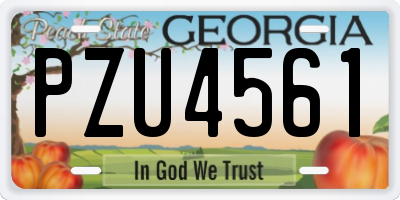 GA license plate PZU4561