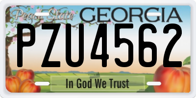 GA license plate PZU4562