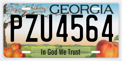 GA license plate PZU4564