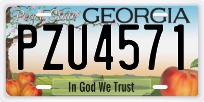 GA license plate PZU4571