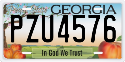 GA license plate PZU4576