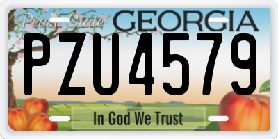 GA license plate PZU4579