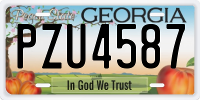 GA license plate PZU4587