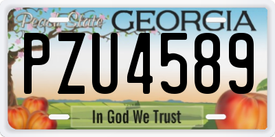 GA license plate PZU4589