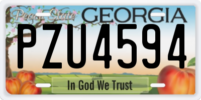 GA license plate PZU4594