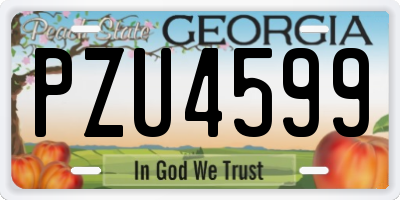 GA license plate PZU4599