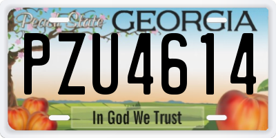 GA license plate PZU4614