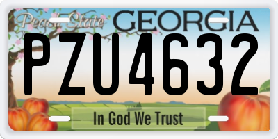 GA license plate PZU4632