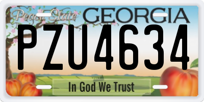 GA license plate PZU4634