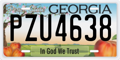 GA license plate PZU4638