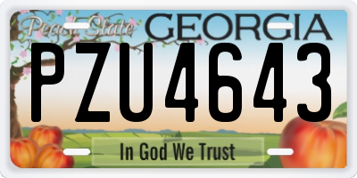 GA license plate PZU4643