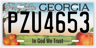 GA license plate PZU4653