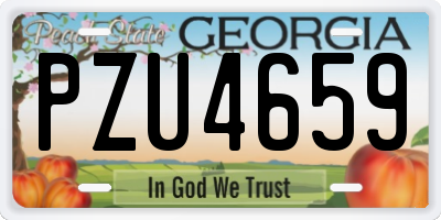 GA license plate PZU4659