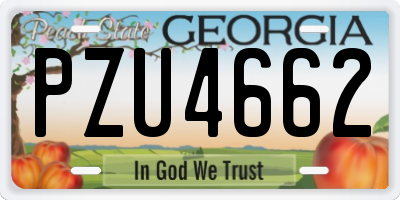 GA license plate PZU4662