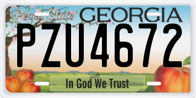 GA license plate PZU4672
