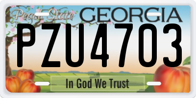 GA license plate PZU4703