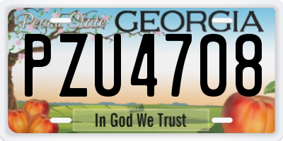 GA license plate PZU4708