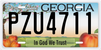 GA license plate PZU4711