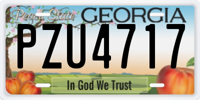 GA license plate PZU4717