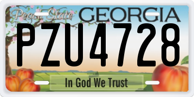 GA license plate PZU4728