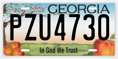 GA license plate PZU4730