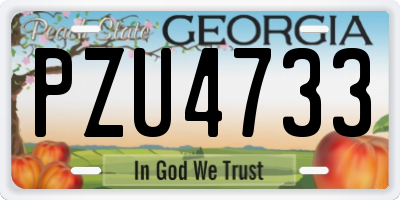 GA license plate PZU4733