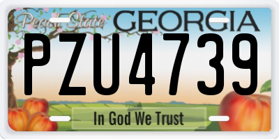 GA license plate PZU4739