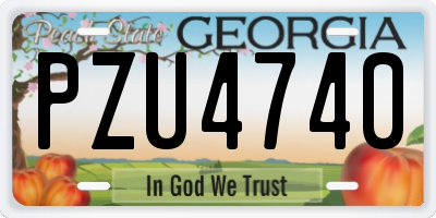 GA license plate PZU4740
