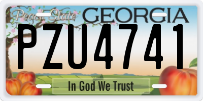 GA license plate PZU4741