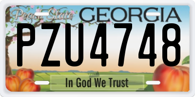 GA license plate PZU4748