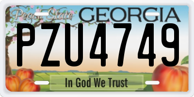 GA license plate PZU4749