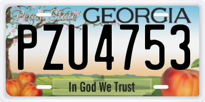 GA license plate PZU4753