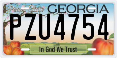 GA license plate PZU4754