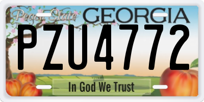 GA license plate PZU4772