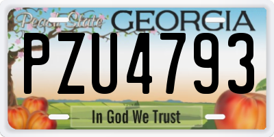 GA license plate PZU4793