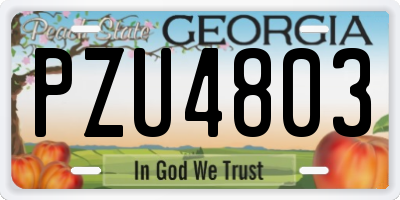 GA license plate PZU4803