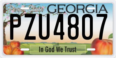 GA license plate PZU4807
