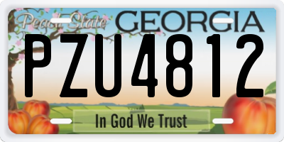 GA license plate PZU4812